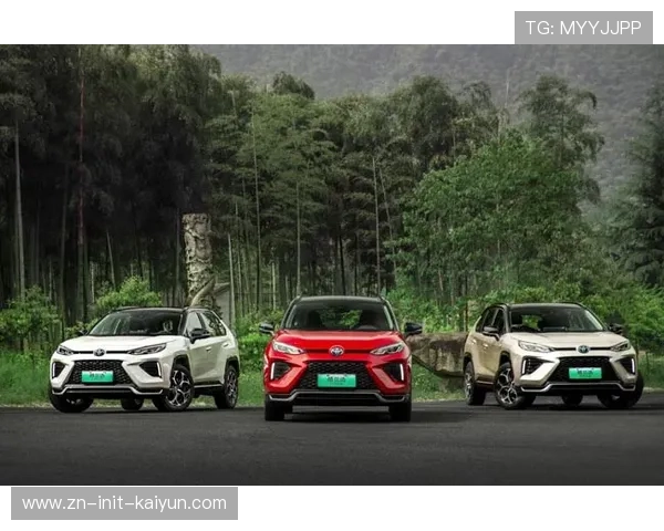 台山排校区家康16岁自由人力争省队 传承矮仔打高佬精神 台山排校区家康16岁自由人力争省队 传承矮仔打高佬精神