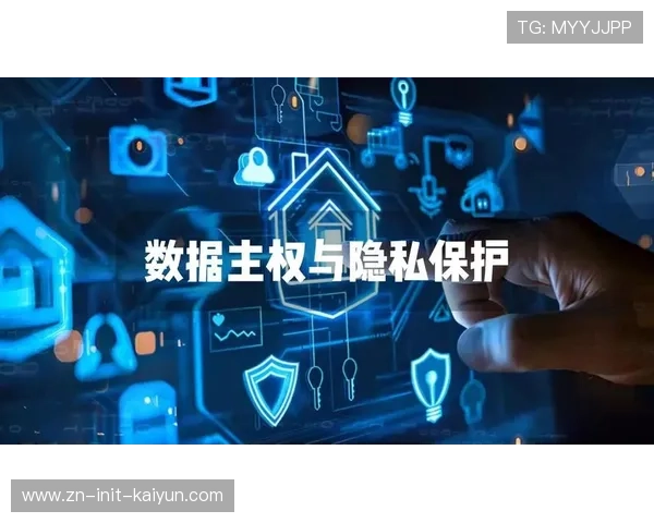 数据商业化利用规范，平衡创新与隐私